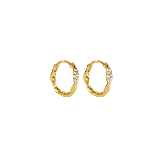 Remy Hoops